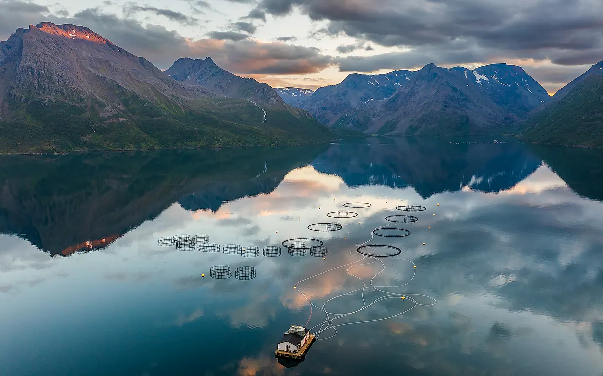 Fjell speilet i en fjord i Finnmark